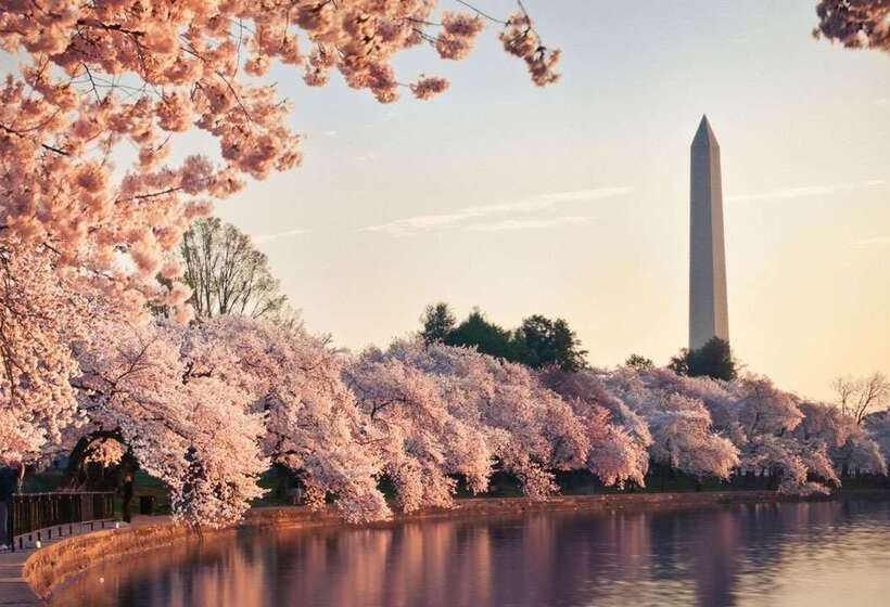 Отель Hyatt Place Washington Dc/white House