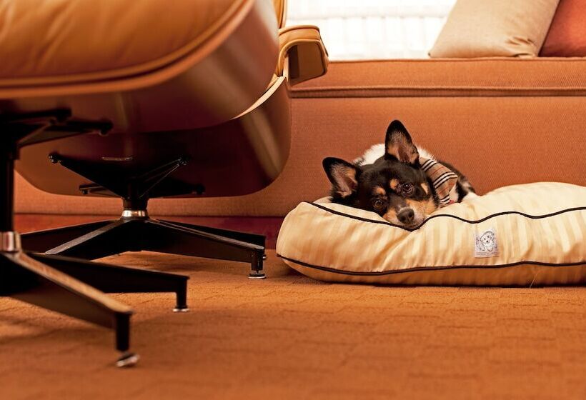 هتل Hyatt Place Gurgaon Udyog Vihar