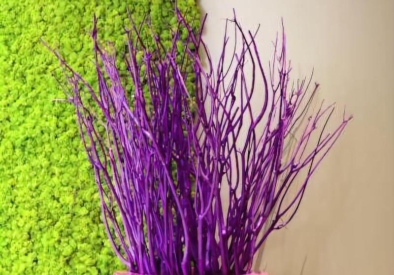 酒店 Ibis Styles Montelimar Centre