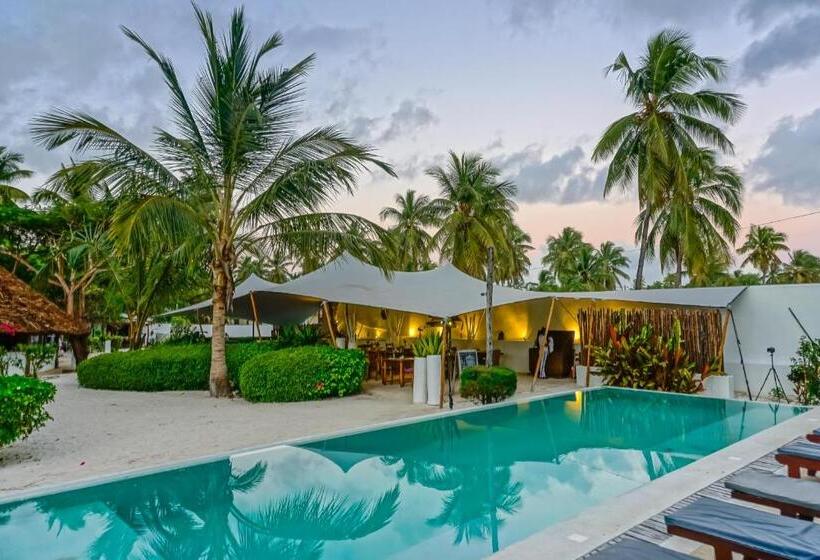 호텔 Indigo Beach Zanzibar