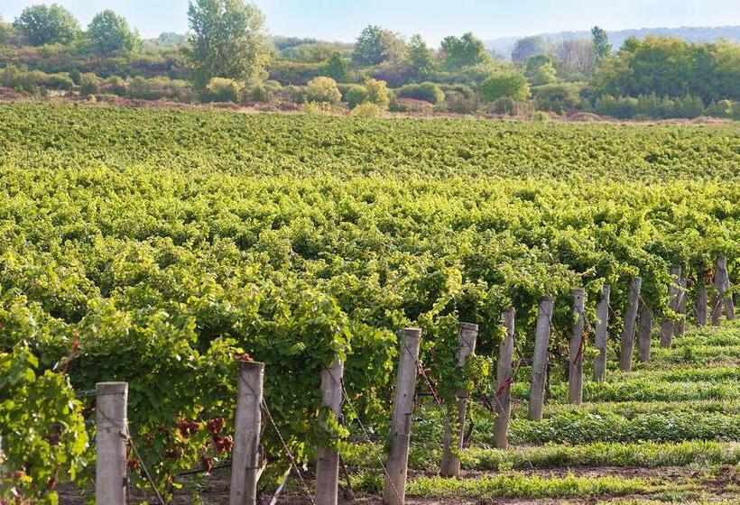 فندق Jordan House