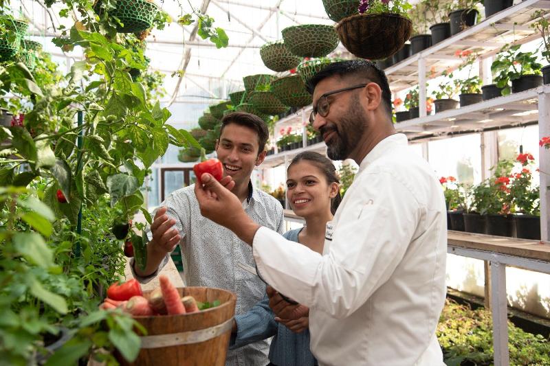 בית מלון כפרי Jw Marriott Mussoorie Walnut Grove Resort & Spa