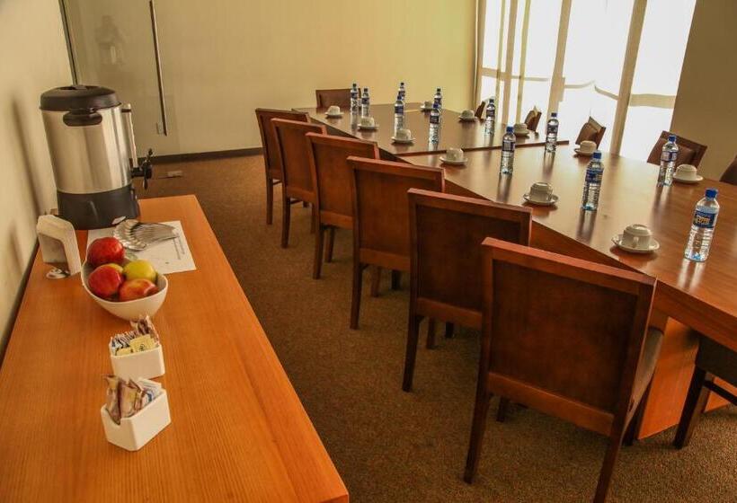 בית מלון כפרי La Mina Parral