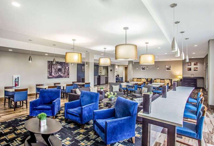 酒店 La Quinta By Wyndham Karnes City   Kenedy