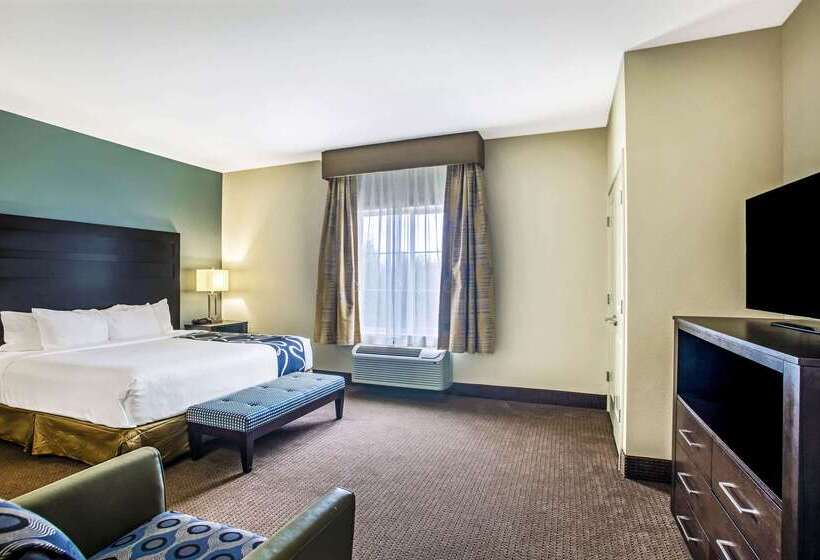 酒店 La Quinta By Wyndham Karnes City   Kenedy