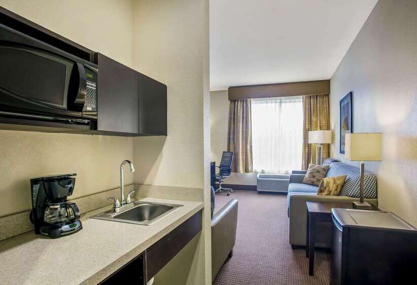 酒店 La Quinta By Wyndham Karnes City   Kenedy