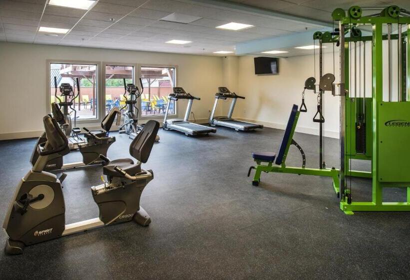 هتل Margaritaville Island