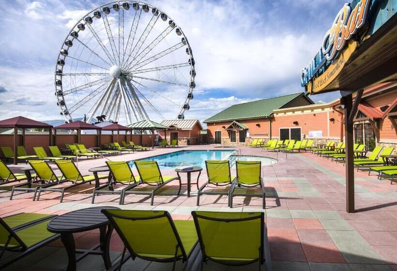 هتل Margaritaville Island