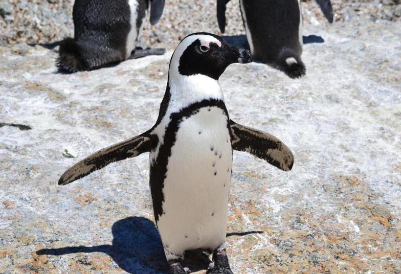 فندق Moonglow Guest House