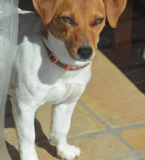 فندق Moonglow Guest House