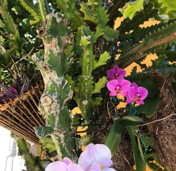 Отель Morro De Sao Paulo