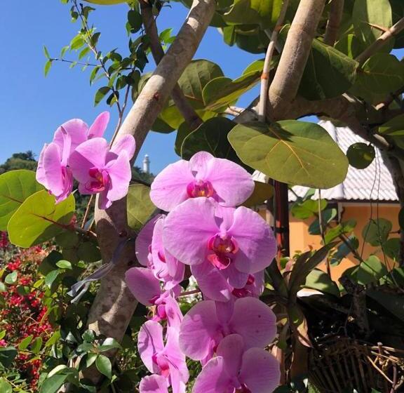 Отель Morro De Sao Paulo