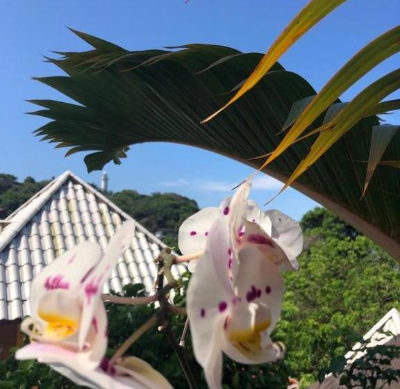 Отель Morro De Sao Paulo