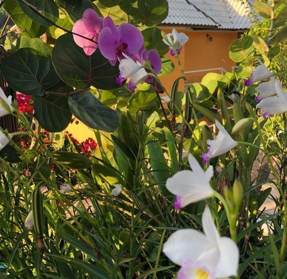 Отель Morro De Sao Paulo