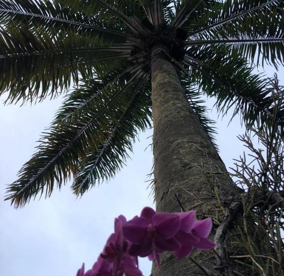 Отель Morro De Sao Paulo