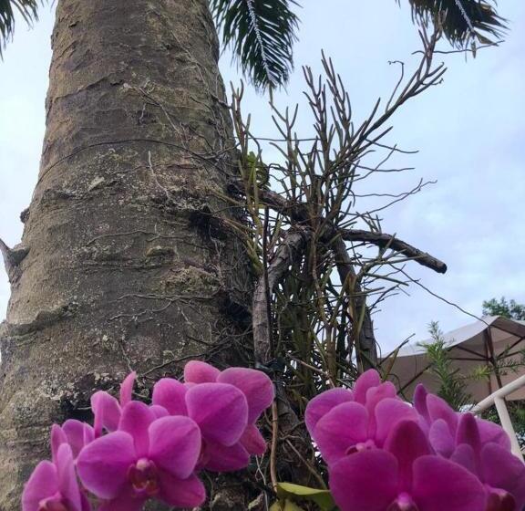 Отель Morro De Sao Paulo