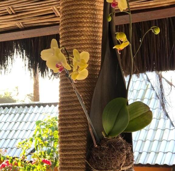 Отель Morro De Sao Paulo