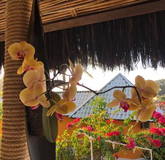 Отель Morro De Sao Paulo