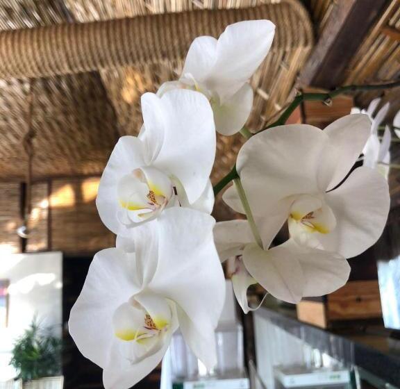 Отель Morro De Sao Paulo