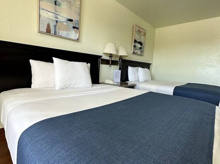 ホテル Quinta San Carlos Inn