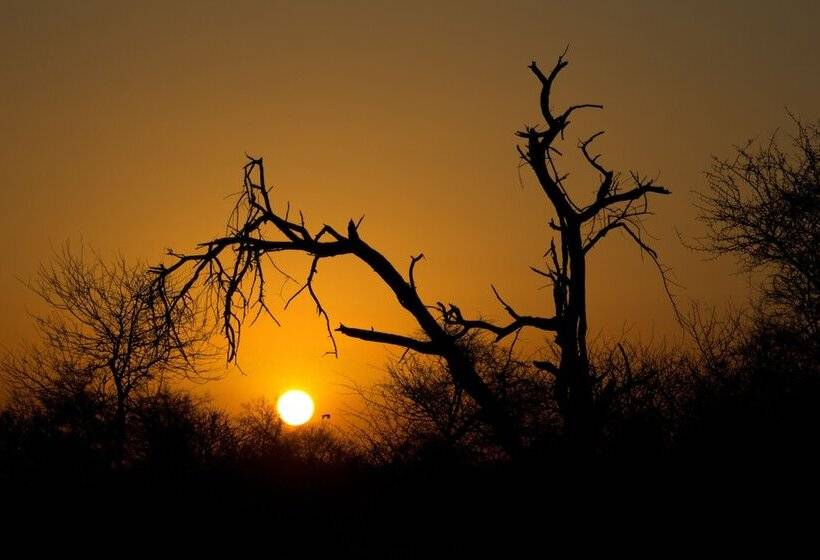 בית מלון כפרי Rhino Ridge Safari Lodge