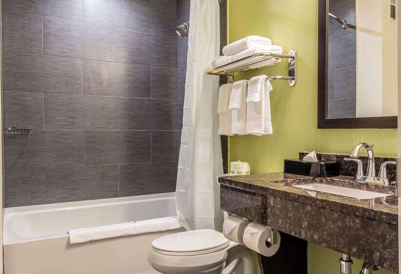 Отель Sleep Inn Center City