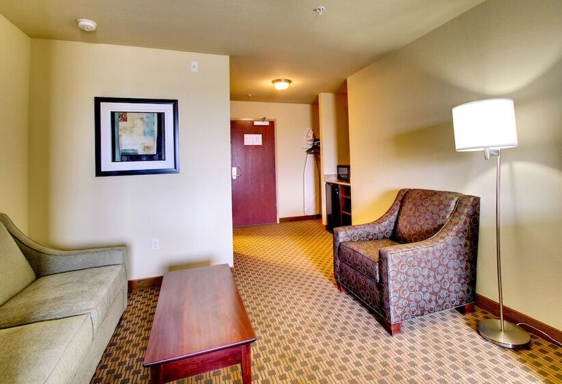 호텔 Stanton Inn And Suites