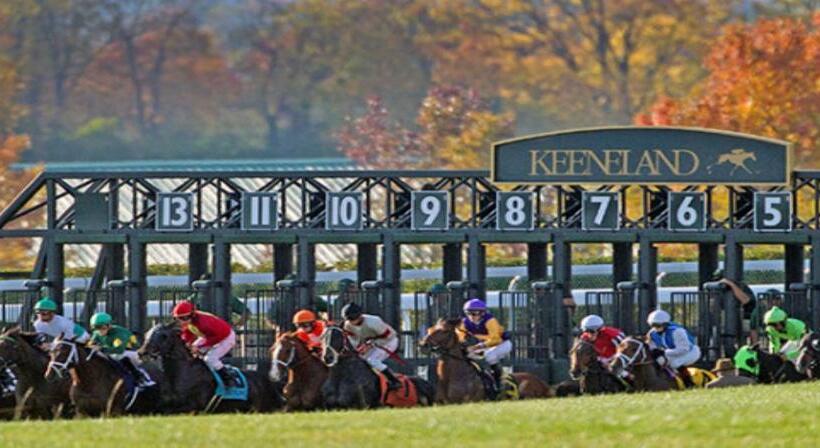 בית מלון כפרי Staybridge Suites Lexington, An Ihg