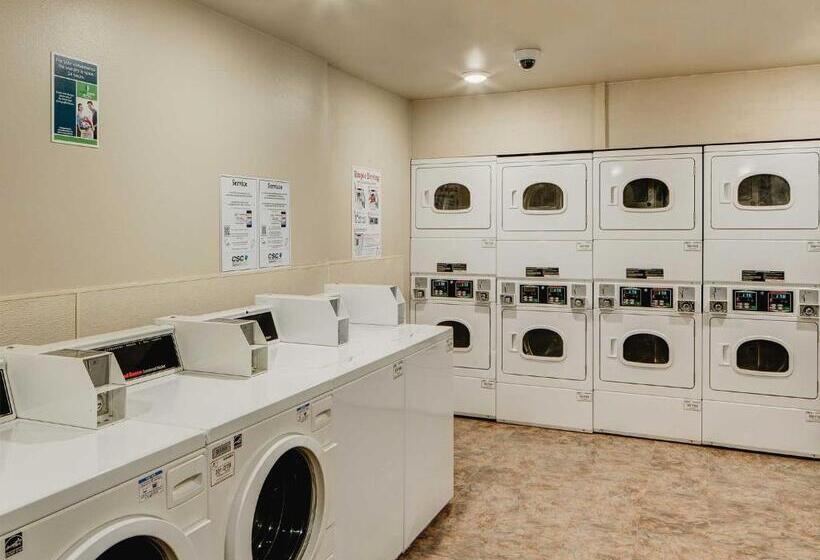 فندق Suburban Studios