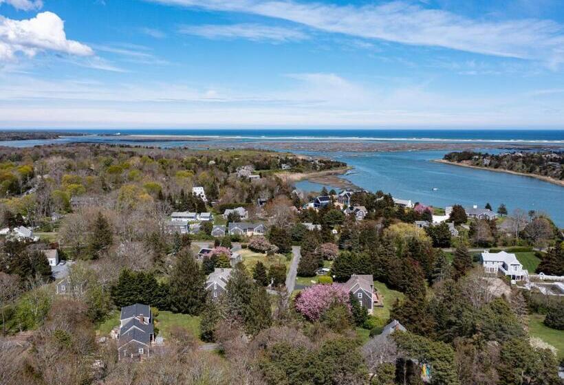 فندق The Seagrove Suites & Guest Rooms