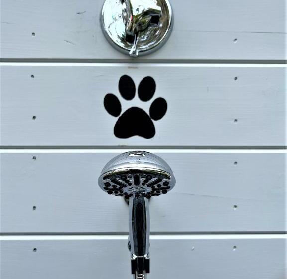 فندق The Seagrove Suites & Guest Rooms