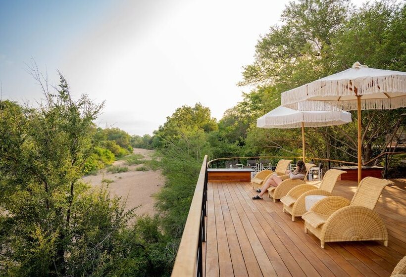 ホテル Thornybush Game Lodge