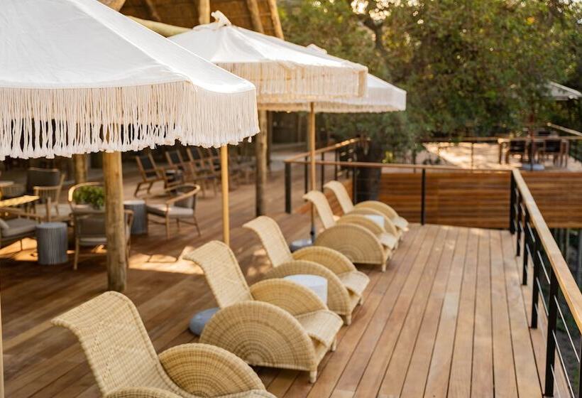 ホテル Thornybush Game Lodge