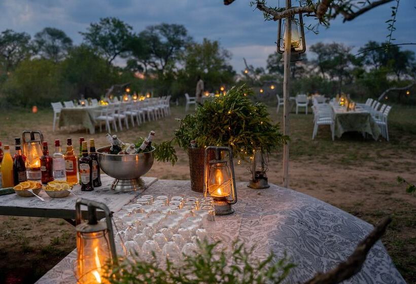 ホテル Thornybush Game Lodge