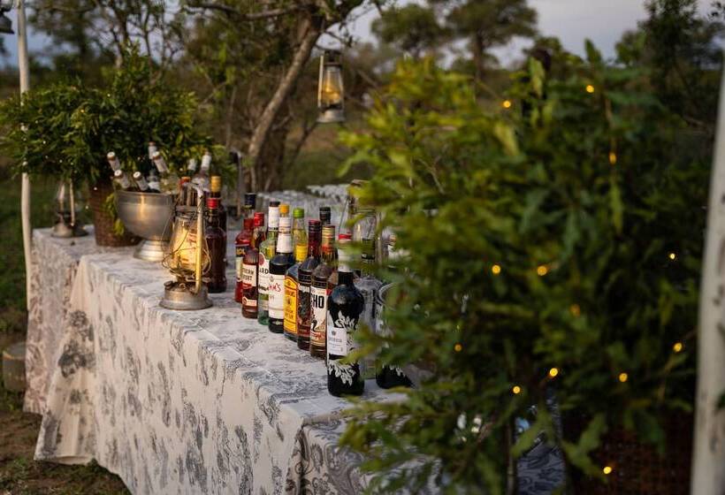 ホテル Thornybush Game Lodge