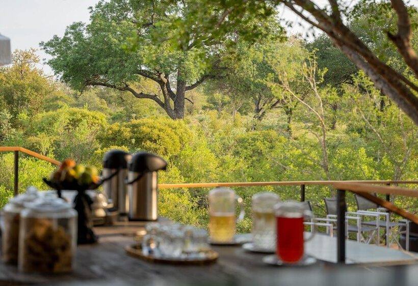 ホテル Thornybush Game Lodge