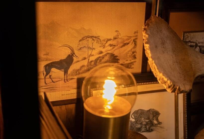 ホテル Thornybush Game Lodge