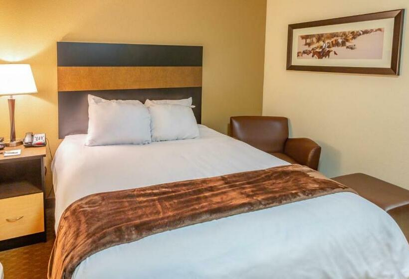 ホテル Welcome Suites Minot