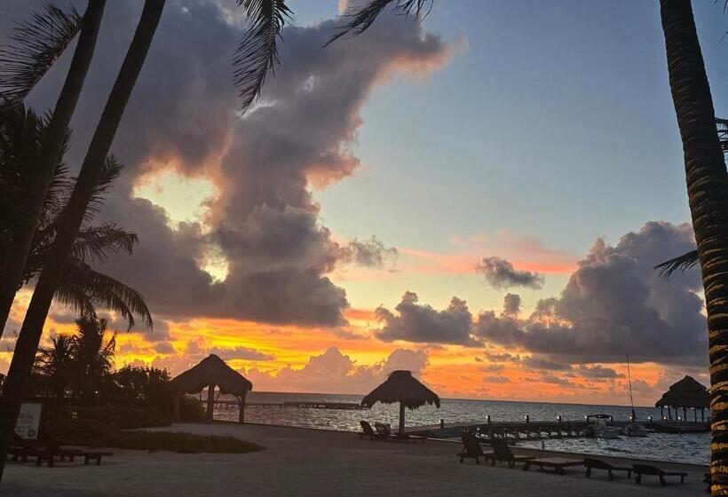 호텔 Xanadu Island Resort