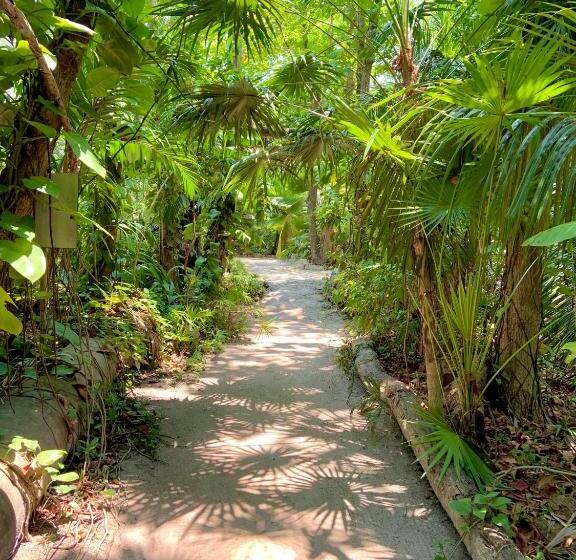 호텔 Xanadu Island Resort