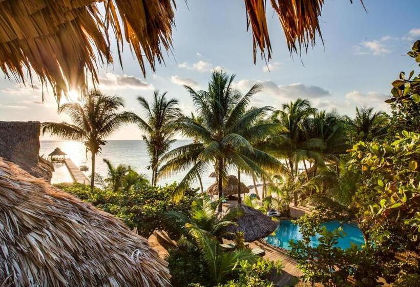 호텔 Xanadu Island Resort