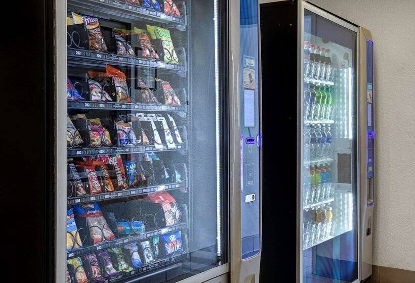 Motel 6 Carson City, Nv