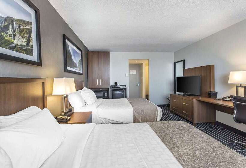 モーテル Quality Inn