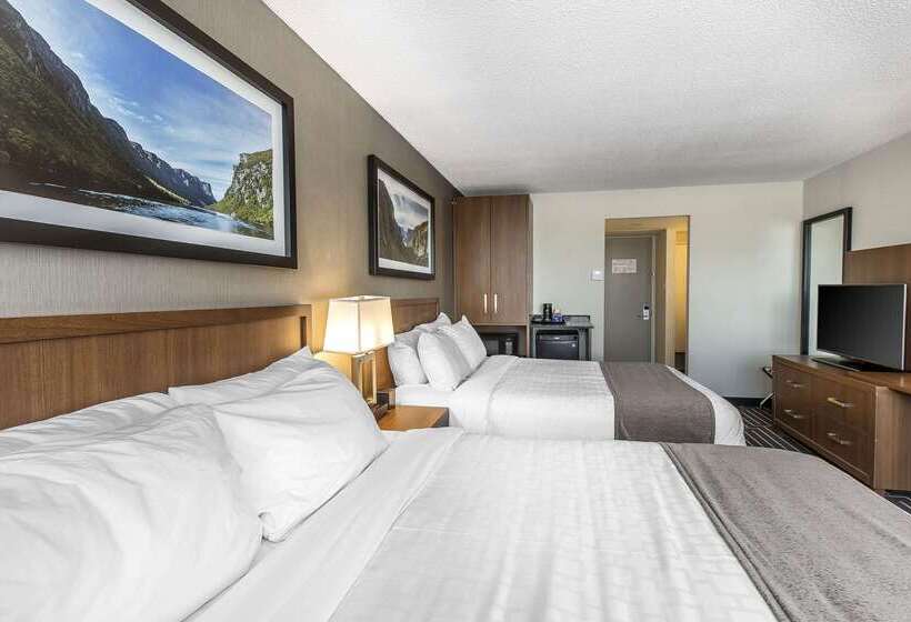 モーテル Quality Inn