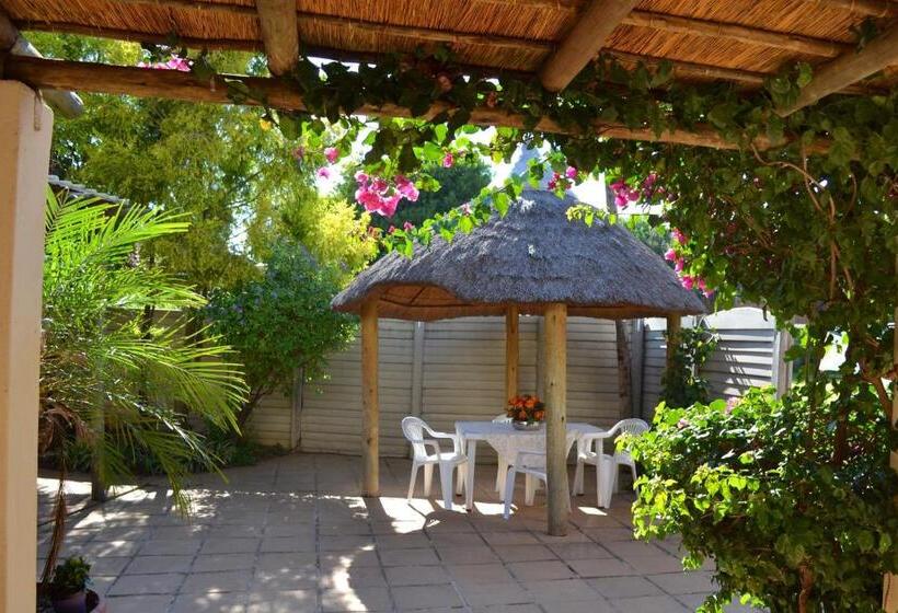 פנסיון Doves Nest Guest House