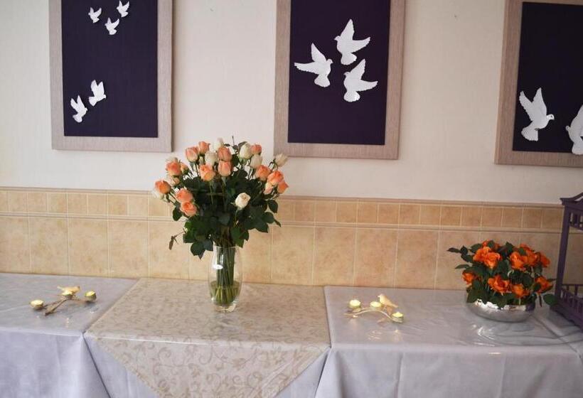 פנסיון Doves Nest Guest House