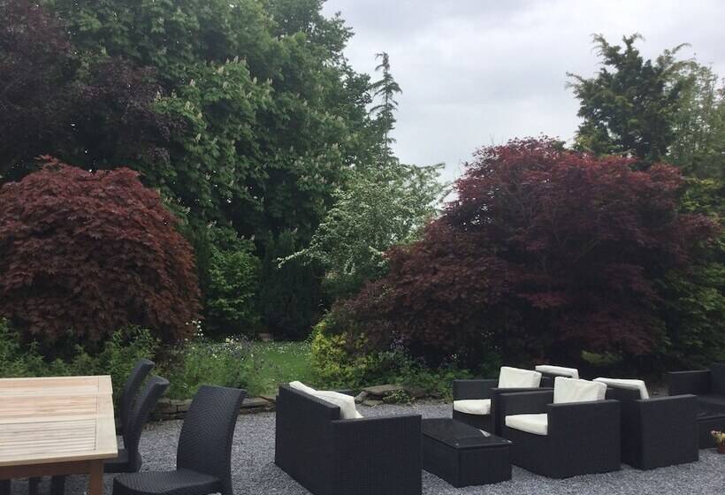 פנסיון Llwyn Country House