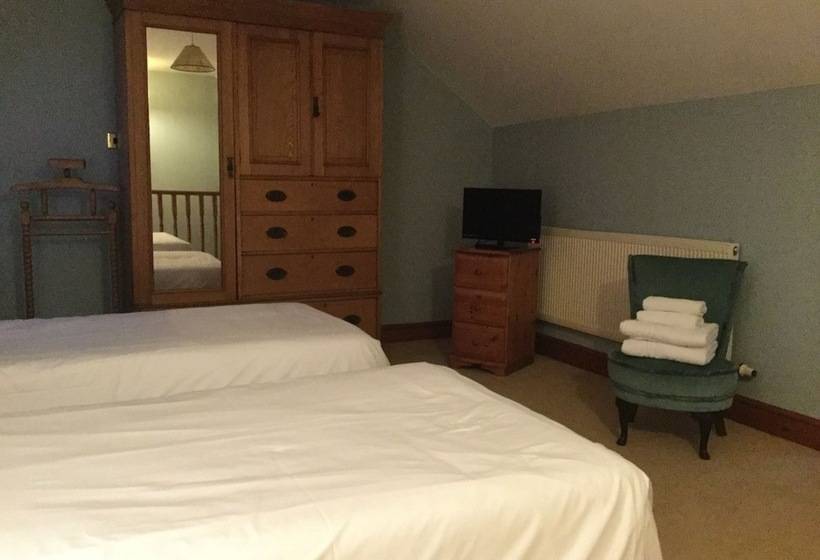 פנסיון Llwyn Country House