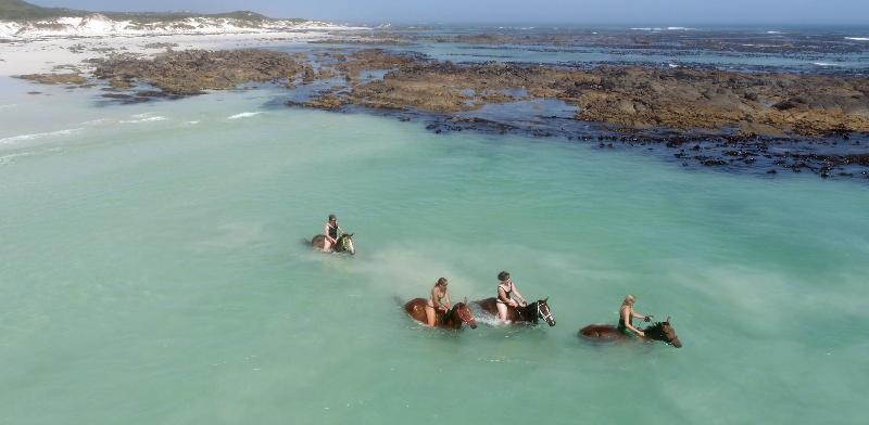 بنسيون Saxon Lodge