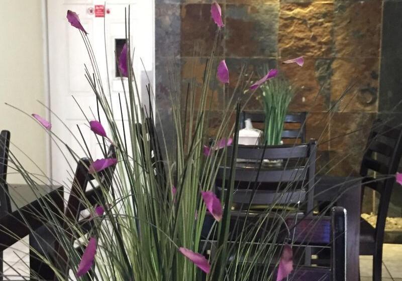 Пансион Tazumal House